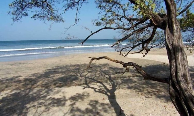 Avellanas Beach Resort | Las Avellanas Villas