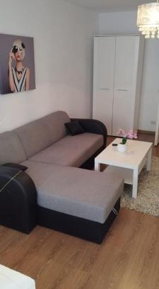 Tirgu Mures Apartment | LC Apartments T-M VC1