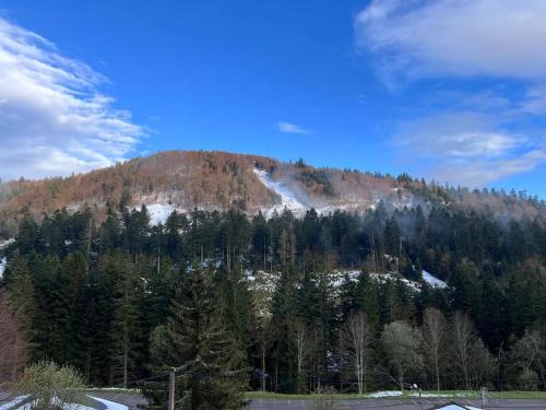 La Bresse Apartment | Le Balcon - La Bresse