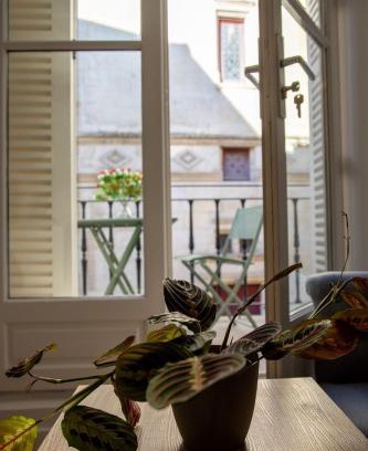 Centre Ville Apartment | Le Banksy hyper centre avec terrasse