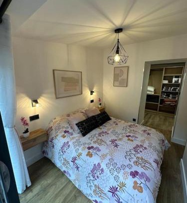 Poincare - Foch - Anatole France - Croix de Bourgogne Apartment | Le Briand Appartement 4étoiles Nancy Thermal Cosy avec Terrasse Wifi