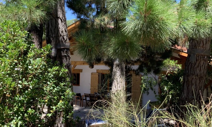 Piraillan Villa | Le Cap Ferret between Bassin et Océan Villa 4 bedrooms