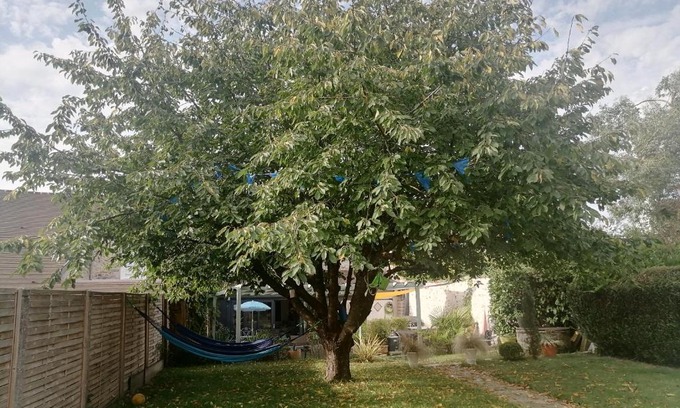 Sivry-Courtry Bed & Breakfast | LE CERISIER