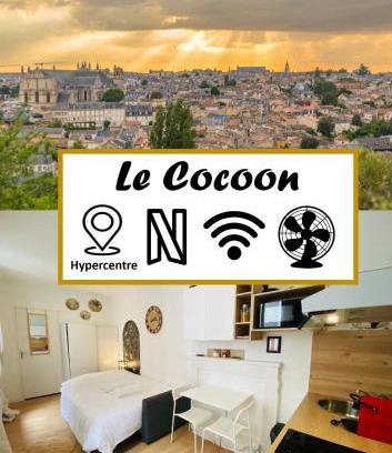 Poitiers Apartment | Le Cocon, studio tout confort, hypercentre