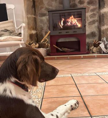 Mortagne-sur-Sevre House | Le Cordonnier d'Autrefois - 15 minutes du Puy du Fou