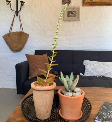 Tulbagh House | Le Florival