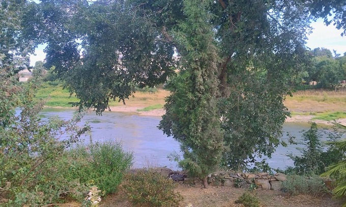 Saint-Laurent-du-Mottay House | Le gîte de l'île du Buzet, facing the Loire and surrounded by nature. A haven of peace.