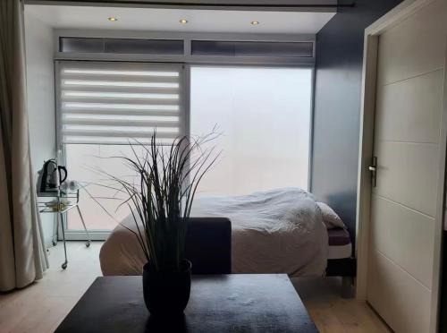 Epinal Apartment | Le Grand Studio Centre Gare