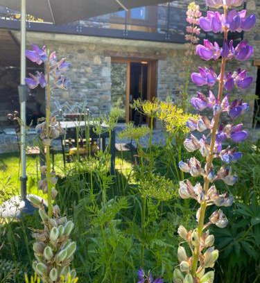 Superbolquere Apartment | LE LODGE, Pyrénées 2000 - Jardin, très calme, espace rangement