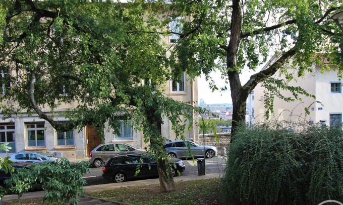 Griffon - Royale Apartment | Le Magneval - Lyon 1ER Arrondissement
