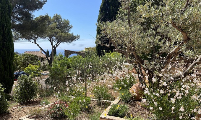 La Croix-Valmer House | Le mas des Oliviers