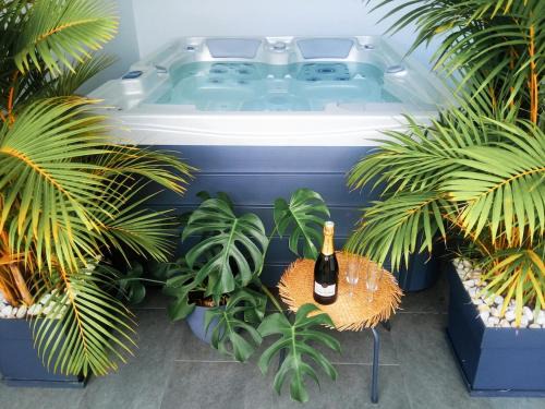 Bois de Nefles Apartment | Le Midori - Private Jacuzzi
