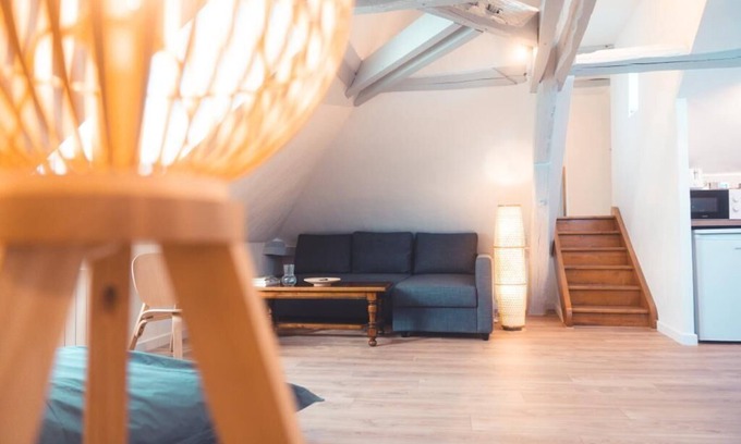 La Riche Apartment | Le Nid d'Aigle - Spacious attic accommodation