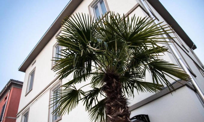 Parma House | Le PALME