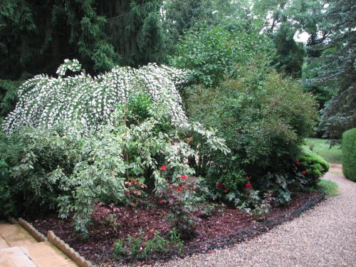 Saint-Ondras Bed & Breakfast | Le Pas de L'Ane Chambres d'hôtes