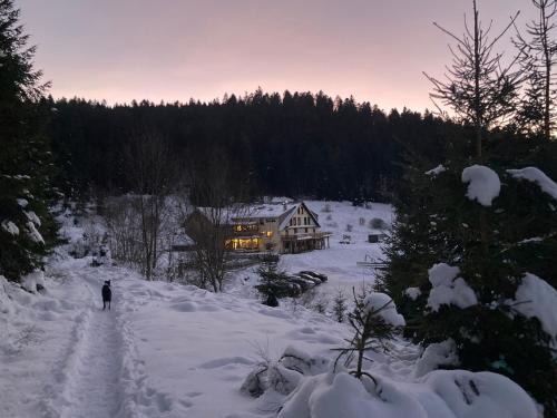 Le Grand Valtin Apartment | Le Perchoir- Grand Valtin 6 pers