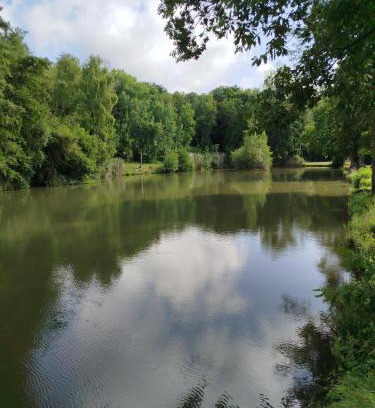 Hautvillers House | Le Relais de la Bulle Enchantée