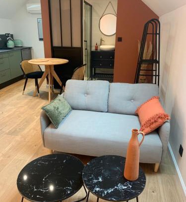 Chalon-sur-Saone Apartment | Le studio d’Ambre