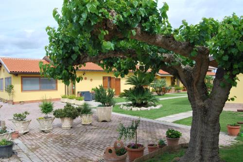 Latina Lido Bed & Breakfast | Le Terre Di BAC