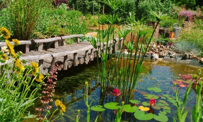 Degagnac Bed & Breakfast | Le tilleul à fleurs