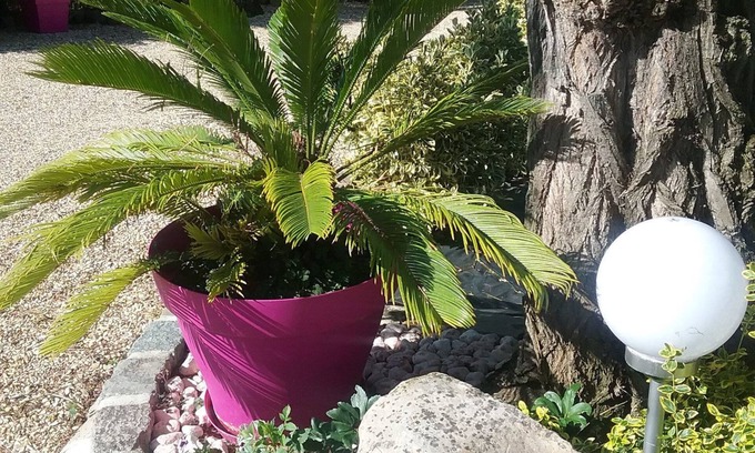 Levelay Bed & Breakfast | Les Acacias