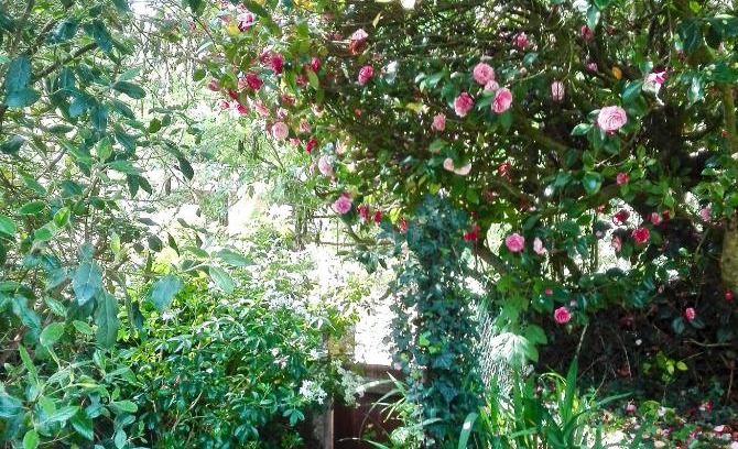 Rochefort-en-Terre House | Les Camelias