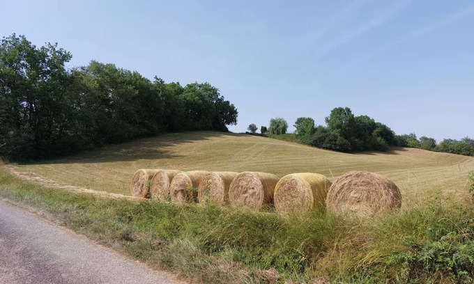 Monbardon Apartment | Les Gites de Campardon - Les Orchidées