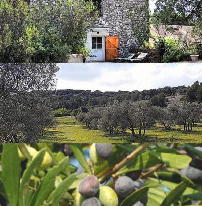 Caumont-sur-Durance Apartment | Les Oliviers