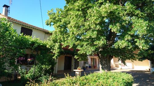 Arles House | Les prairies Mas Roux