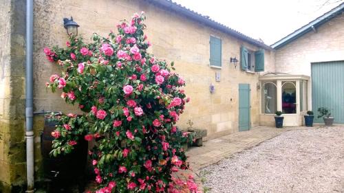 Saint-Magne-de-Castillon House | Les Vignes