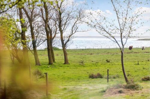 Nykobing Mors House | LF13172-Nykobing-M-Strandvaenget-76