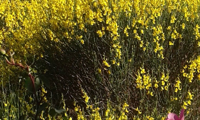 Barjols House | Lieu Unique Atypique Écologique Avec une vue un Espace et une Énergie Synergique