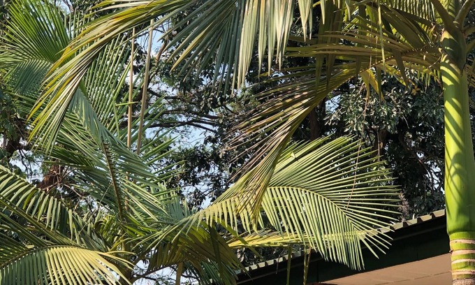 Kitwe House | Lifesong Lodge