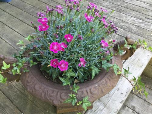 Varmdo House | Lillstuga Strömma