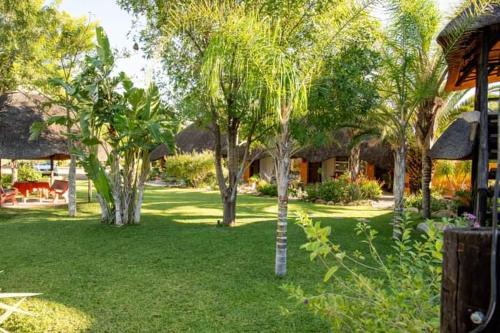 Otjiwarongo House | Lion's Den Guesthouse Otjiwarongo
