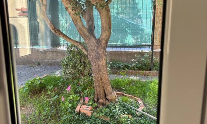 Lavina House | Little house near the sea in Laigueglia, a fishing village in western liguria