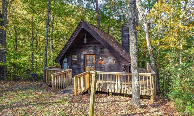 Gatlinburg - Pigeon Forge Cabin | Little Ladybug Resort Romantic Honeymoon Cabin with Forest Views