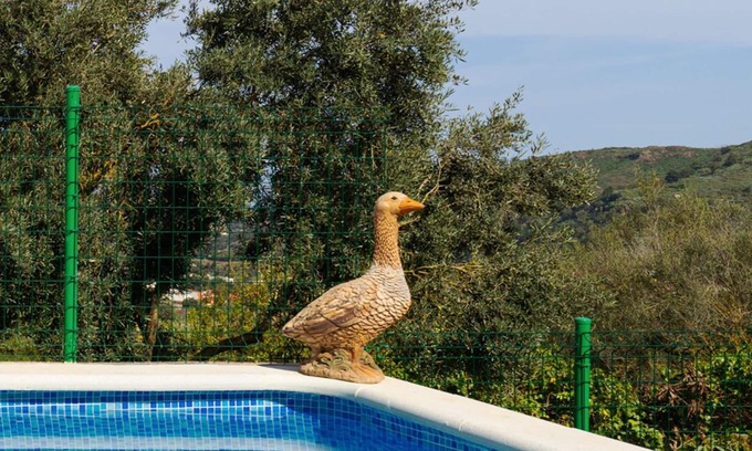 Santa Brigida Apartment | LIVE FINCA GAMONAL BJ 2