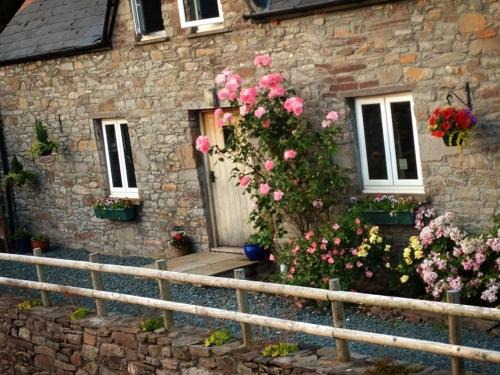 Brecon House | Llwyn Llwyd Cottage