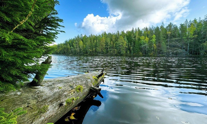 Puyallup House | Located along the foothills of scenic Mount Rainier historic downtown