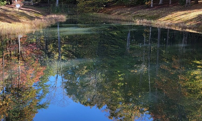 Crab Orchard Cabin | Located minutes from golf & a nature reserve, stay in a private 5 acre oasis