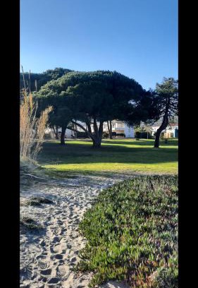 Poggio-Mezzana Apartment | Location appartement les pieds dans l'eau, Résidence Aqua Linda à Poggio-Mezzana