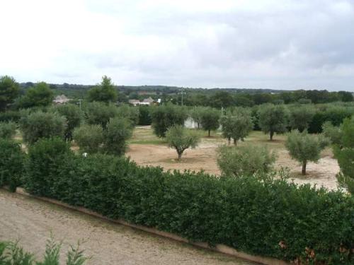Martina Franca House | Locazione turistica Green Park