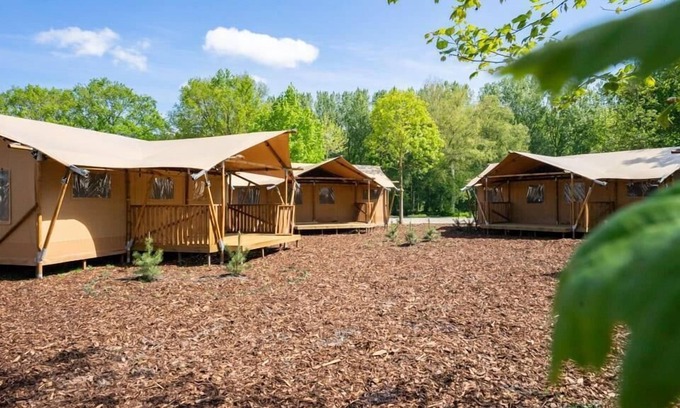 Municipality of Amstelveen Cabin | Lodgetent 4