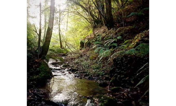 Rimont House | Lodging between forest and streams