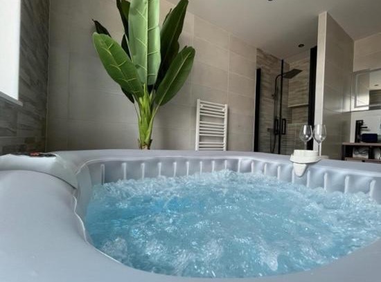 Dorlisheim Apartment | Logement de charme - W&B House