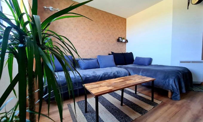 Chasseneuil-du-Poitou Apartment | Logement entier 30m² - 800m du Futuroscope