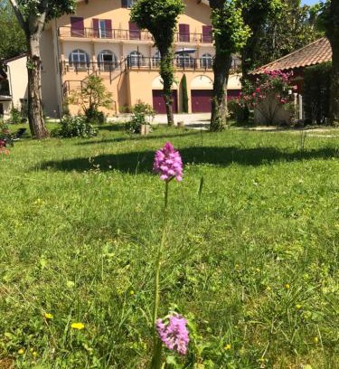 Saint-Jean-en-Royans Hotel | Logis Hôtel Restaurant Le Castel Fleuri