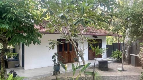 Unawatuna Apartment | Lomond House
