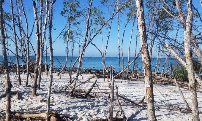Whitney Beach House | Longboat Key , Beach , Pool , Dock , Canal , Boat Access. Kayak rentals, Fishing